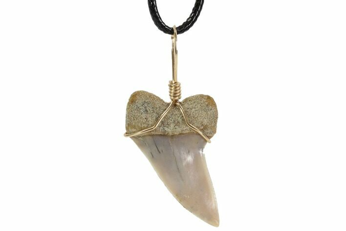 Fossil Mako Tooth Necklace - Bakersfield, California #95242